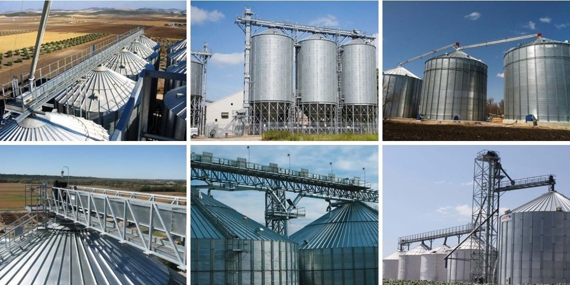 ناقل مكشطة الحبوب